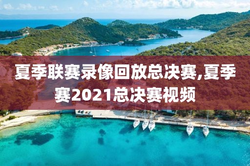 夏季联赛录像回放总决赛,夏季赛2021总决赛视频