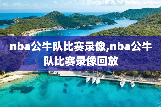 nba公牛队比赛录像,nba公牛队比赛录像回放