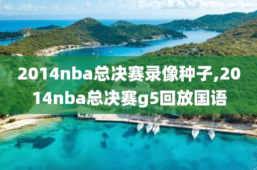 2014nba总决赛录像种子,2014nba总决赛g5回放国语