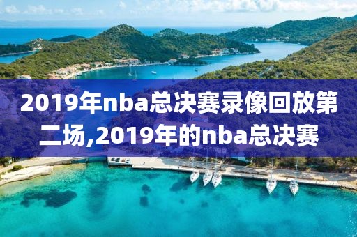 2019年nba总决赛录像回放第二场,2019年的nba总决赛