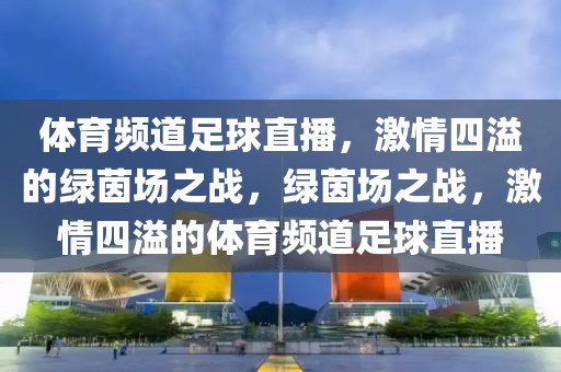 体育频道足球直播，激情四溢的绿茵场之战，绿茵场之战，激情四溢的体育频道足球直播