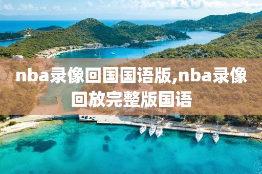 nba录像回国国语版,nba录像回放完整版国语