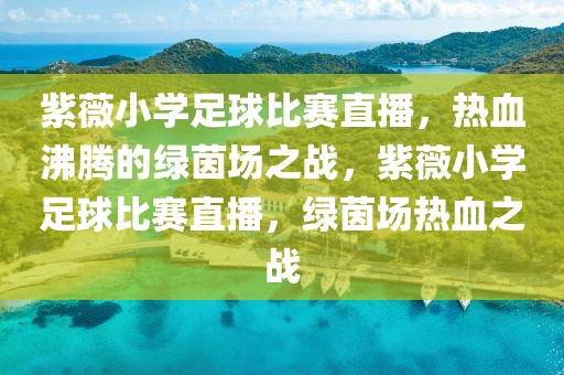 紫薇小学足球比赛直播，热血沸腾的绿茵场之战，紫薇小学足球比赛直播，绿茵场热血之战