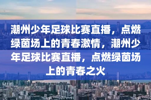 潮州少年足球比赛直播，点燃绿茵场上的青春激情，潮州少年足球比赛直播，点燃绿茵场上的青春之火