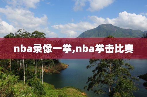 nba录像一拳,nba拳击比赛