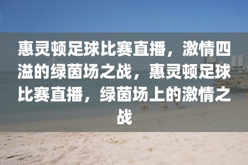 惠灵顿足球比赛直播，激情四溢的绿茵场之战，惠灵顿足球比赛直播，绿茵场上的激情之战