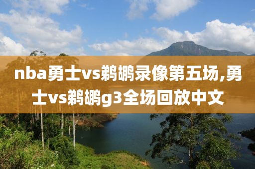 nba勇士vs鹈鹕录像第五场,勇士vs鹈鹕g3全场回放中文