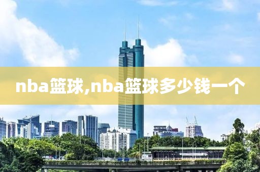 nba篮球,nba篮球多少钱一个