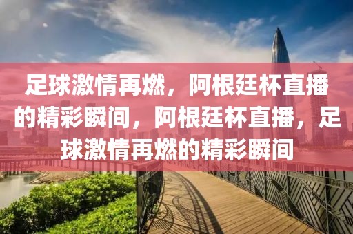 足球激情再燃，阿根廷杯直播的精彩瞬间，阿根廷杯直播，足球激情再燃的精彩瞬间