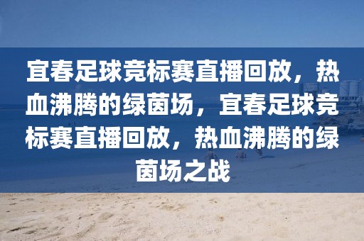 宜春足球竞标赛直播回放，热血沸腾的绿茵场，宜春足球竞标赛直播回放，热血沸腾的绿茵场之战