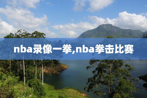 nba录像一拳,nba拳击比赛