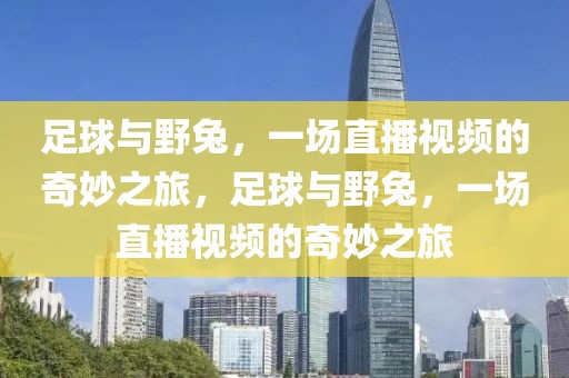 足球与野兔，一场直播视频的奇妙之旅，足球与野兔，一场直播视频的奇妙之旅