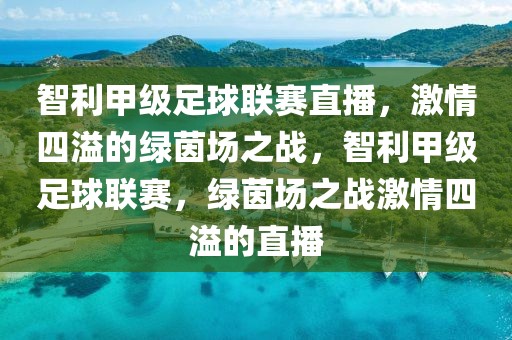 智利甲级足球联赛直播，激情四溢的绿茵场之战，智利甲级足球联赛，绿茵场之战激情四溢的直播