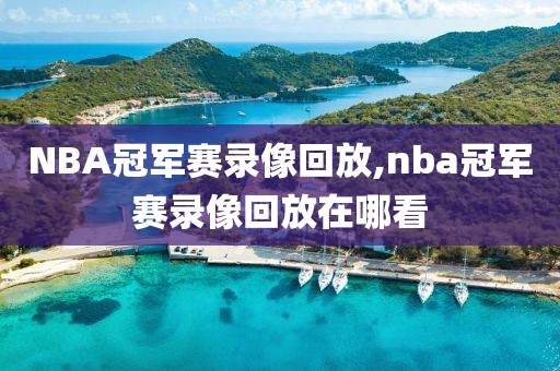 NBA冠军赛录像回放,nba冠军赛录像回放在哪看