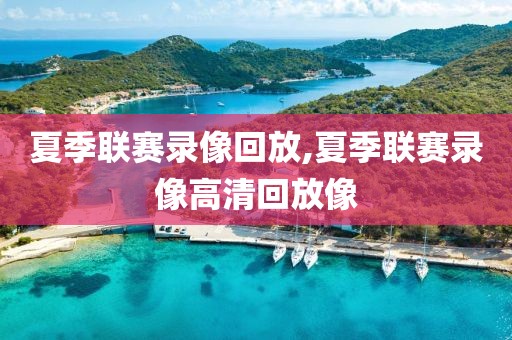 夏季联赛录像回放,夏季联赛录像高清回放像