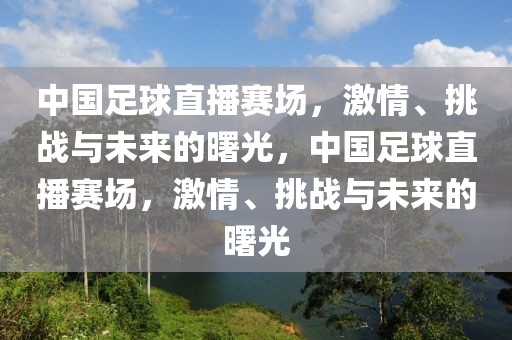 中国足球直播赛场，激情、挑战与未来的曙光，中国足球直播赛场，激情、挑战与未来的曙光