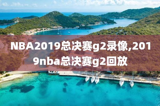 NBA2019总决赛g2录像,2019nba总决赛g2回放