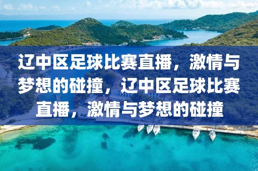 辽中区足球比赛直播，激情与梦想的碰撞，辽中区足球比赛直播，激情与梦想的碰撞