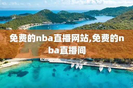 免费的nba直播网站,免费的nba直播间