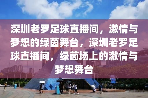 深圳老罗足球直播间，激情与梦想的绿茵舞台，深圳老罗足球直播间，绿茵场上的激情与梦想舞台