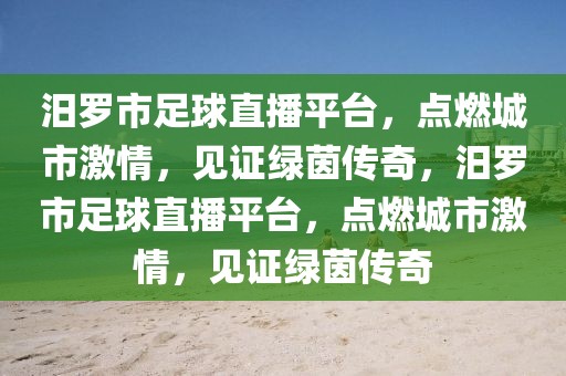 汨罗市足球直播平台，点燃城市激情，见证绿茵传奇，汨罗市足球直播平台，点燃城市激情，见证绿茵传奇