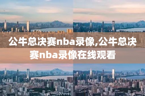 公牛总决赛nba录像,公牛总决赛nba录像在线观看