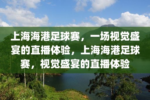 上海海港足球赛，一场视觉盛宴的直播体验，上海海港足球赛，视觉盛宴的直播体验