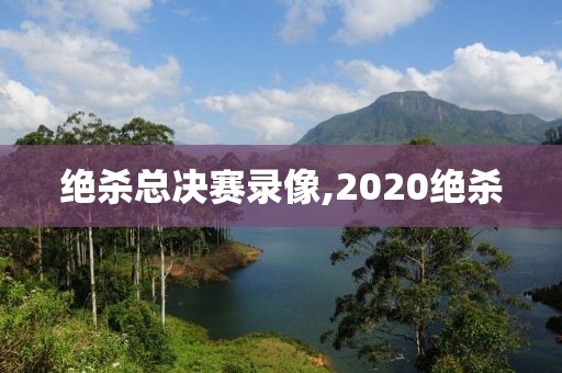 绝杀总决赛录像,2020绝杀