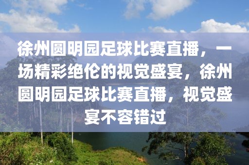 徐州圆明园足球比赛直播，一场精彩绝伦的视觉盛宴，徐州圆明园足球比赛直播，视觉盛宴不容错过