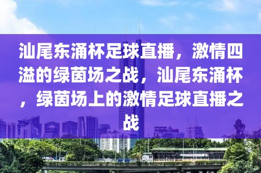 汕尾东涌杯足球直播，激情四溢的绿茵场之战，汕尾东涌杯，绿茵场上的激情足球直播之战