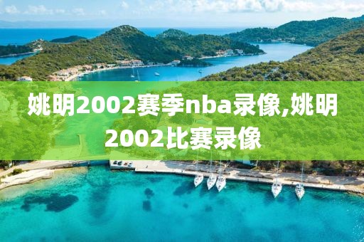 姚明2002赛季nba录像,姚明2002比赛录像