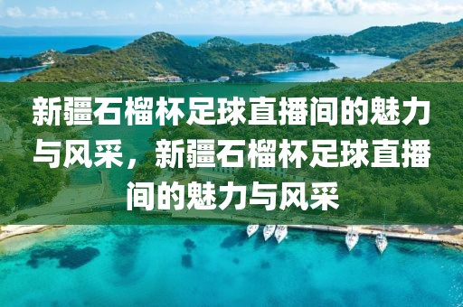 新疆石榴杯足球直播间的魅力与风采，新疆石榴杯足球直播间的魅力与风采