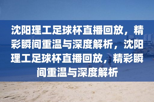 沈阳理工足球杯直播回放，精彩瞬间重温与深度解析，沈阳理工足球杯直播回放，精彩瞬间重温与深度解析