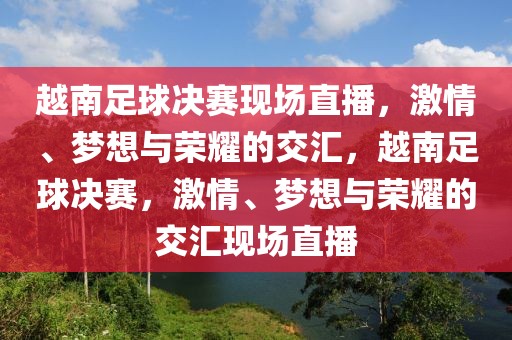 越南足球决赛现场直播，激情、梦想与荣耀的交汇，越南足球决赛，激情、梦想与荣耀的交汇现场直播