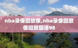 nba录像回放像,nba录像回放像回放国语98