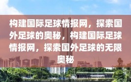 构建国际足球情报网，探索国外足球的奥秘，构建国际足球情报网，探索国外足球的无限奥秘