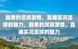 酷弟的足球激情，直播实况足球的魅力，酷弟的足球激情，直播实况足球的魅力