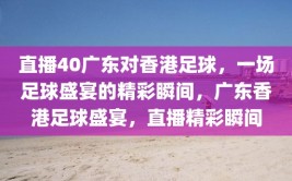 直播40广东对香港足球，一场足球盛宴的精彩瞬间，广东香港足球盛宴，直播精彩瞬间