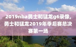 2019nba勇士和猛龙g6录像,勇士和猛龙2019年季后赛总决赛第一场