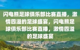 闪电熊足球俱乐部比赛直播，激情四溢的足球盛宴，闪电熊足球俱乐部比赛直播，激情四溢的足球盛宴