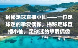 揭秘足球直播小仙——一位足球迷的挚爱偶像，揭秘足球直播小仙，足球迷的挚爱偶像