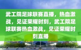 武工院足球联赛直播，热血激战，见证荣耀时刻，武工院足球联赛热血激战，见证荣耀时刻直播