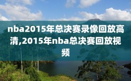 nba2015年总决赛录像回放高清,2015年nba总决赛回放视频