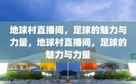 地球村直播间，足球的魅力与力量，地球村直播间，足球的魅力与力量