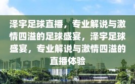 泽宇足球直播，专业解说与激情四溢的足球盛宴，泽宇足球盛宴，专业解说与激情四溢的直播体验