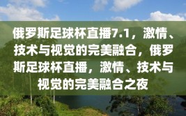 俄罗斯足球杯直播7.1，激情、技术与视觉的完美融合，俄罗斯足球杯直播，激情、技术与视觉的完美融合之夜