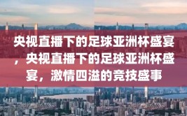 央视直播下的足球亚洲杯盛宴，央视直播下的足球亚洲杯盛宴，激情四溢的竞技盛事