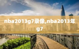 nba2013g7录像,nba2013年g7