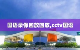 国语录像回放回放,cctv国语