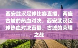 西安武汉足球比赛直播，两座古城的热血对决，西安武汉足球热血对决直播，古城的荣耀之战